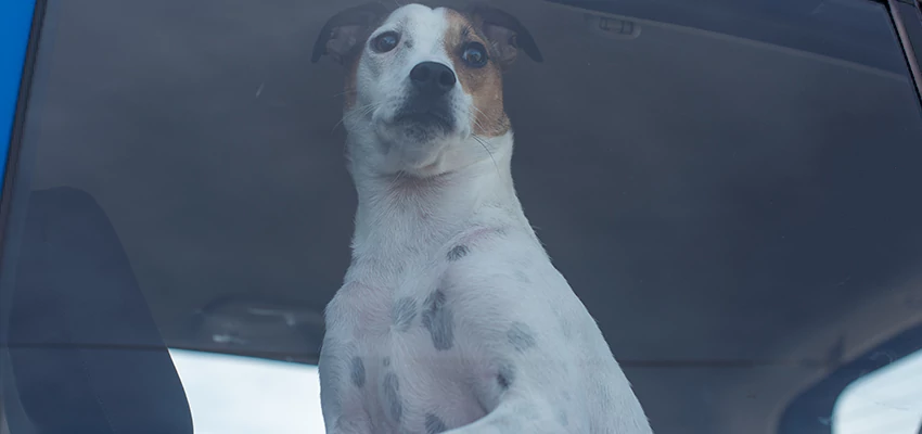 Car Lockout Solutions in Linda, California