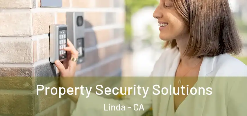  Property Security Solutions Linda - CA